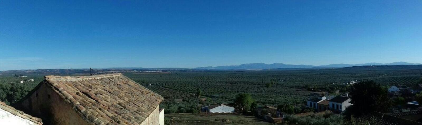 Casa Rural Verde Oliva Baños de la Encina Zewnętrze zdjęcie